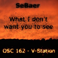 SeBaer - What I don't want you to see (OSC162 - V-Station)