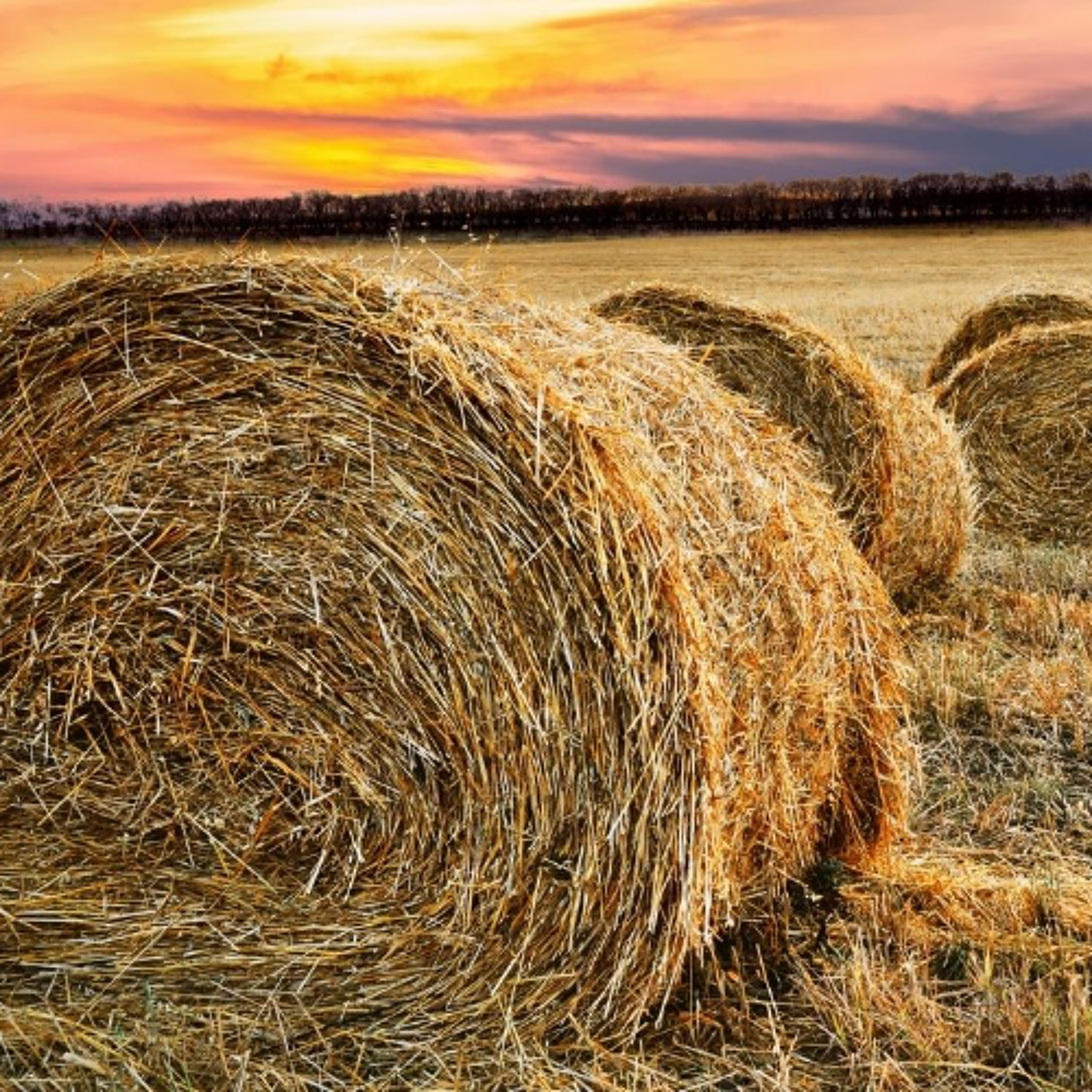 BC Agriculture Council Launches New Farmer Forum