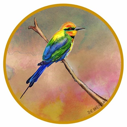 Bees, Bee-Eaters & Syntropy - with Richard Rudd