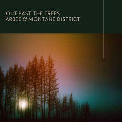 Arbee & Montane District - Out Past The Trees (Slomo Dub Bonus Demo)