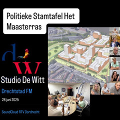 Politieke Stamtafel De politieke mitsen en maren  over het project Maasterras