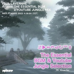 Paul Lavernhe presents The Essential BGM & Youtube Jungle Mix - 1er Mars 2023