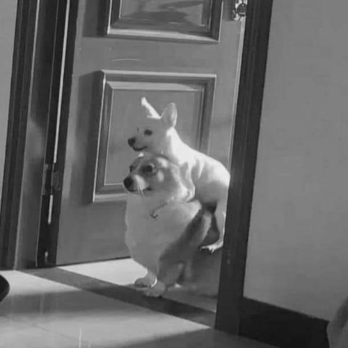 Stream wicked game by DJ Sadface | Listen online for free on SoundCloud