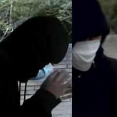 ST6 JodyBoof + 23sneakyy - WAIT (FREE THE SEALS)