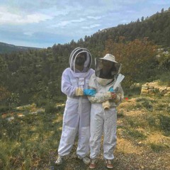 Fellini Félin - An Old Friend