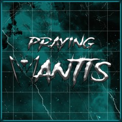 Praying Mantis