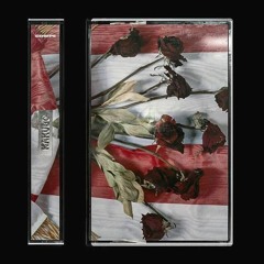 Tracks/Remixes