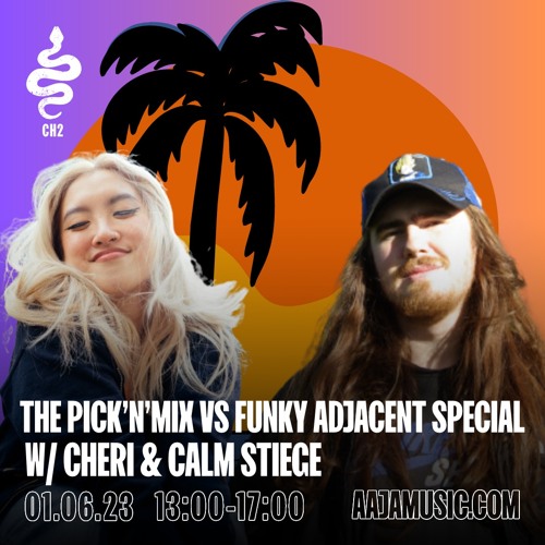 The Pick 'n' Mix vs Funky Adjacent Show w/ Cheri and Calm Stiege - Aaja Channel 1 - 01 06 23