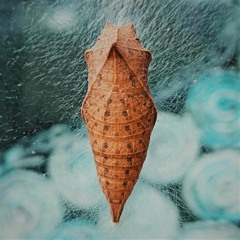 How Those Things Can Hurt Me Like This