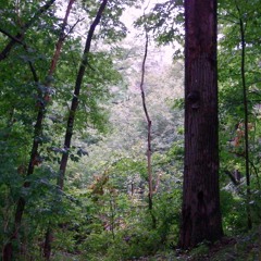 Jumpin' Over Jumper Creek