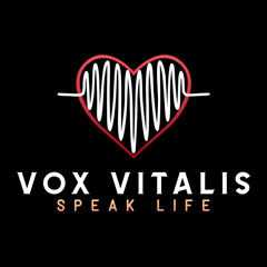 MOTIVATIONAL SPEECH - Mount Pinatubo by Vox Vitalis