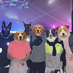 Straight to the top list