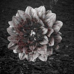 fade into you (cover)