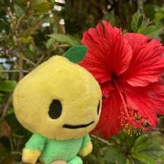 掴むマジで熱い