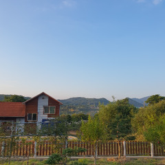 정미조-석별