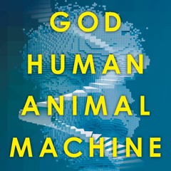 EBOOK (READ) God, Human, Animal, Machine: Technology, Metaphor, and the Search f