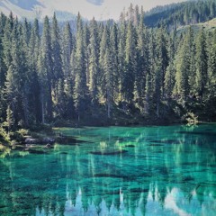 MELODIC FORREST - LIVE SET 01/2023