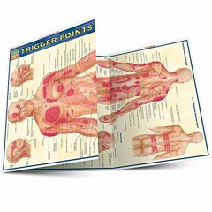 =! Trigger Points, Quick Study Academic  =Literary work!