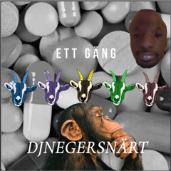 odz entourage Middsnärt