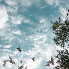 بالهوى قلبي تعلَّق I الشيخ حسام