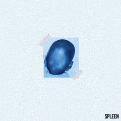 Spleen