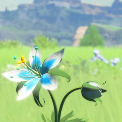 En El Fondo - Joshua Caves