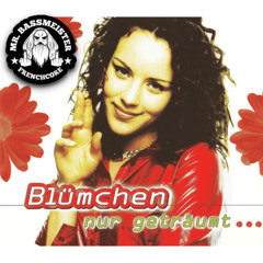 Nur Geträumt (Mr. Bassmeister DJ Tool)