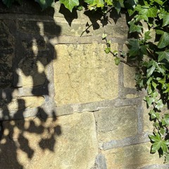 Ivy Dreams