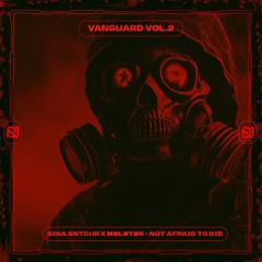 [PRVV2] - SOULSNTCHR X MØLØTØK - NOT AFRAID TO DIE