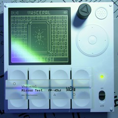 Vhsceral - Mirror Test