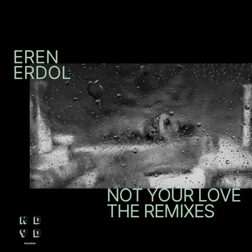 Not Your Love (Julio Cruz Remix)