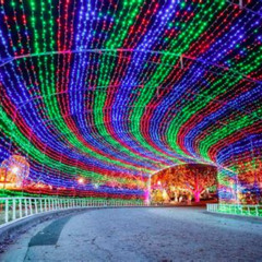 Best Austin Things To Do In December Tours Reviews