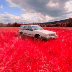 för dom med en vårta på darren