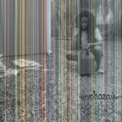 t r o p h o z o i t e (stage 2)