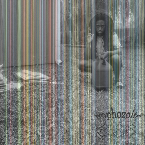 t r o p h o z o i t e (stage 2)