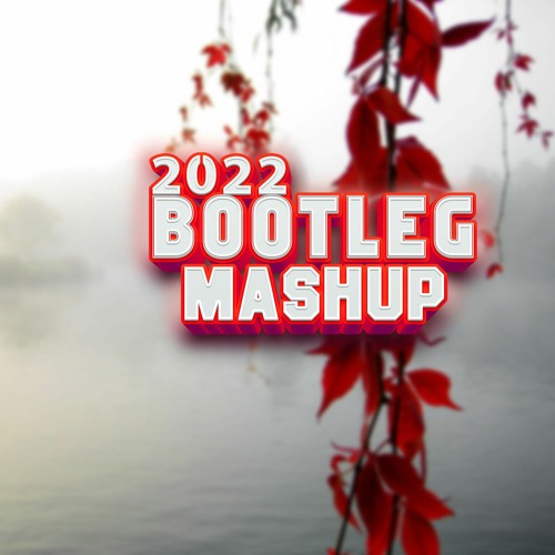 Sound4Life - Kinia 2022 Bootleg & Mashup, Edit PACK (32 Tracks) SHORTS PREVIEW [Drops Only]