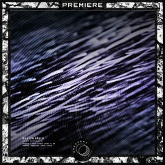 PREMIERE: Martyn Päsch - Deep Distance (Basis Change Remix) [AARD024]