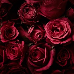 💜𝒯ℛℐ𝒫𝒮 𝒞ℛ𝒪𝒮𝒮 𝒞𝒪𝒰𝒩𝒯ℛ𝒴₉⁹₉