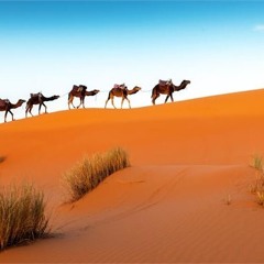 Sogha - Fulbe (SoulZak edit)