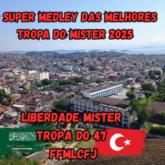 CD SUPER MEDLEY COMPLETO PRA TROPA DO MISTER 2025 (((( MC'S THIERRY E FOCA )))) BUBAPROD