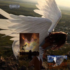 fly away