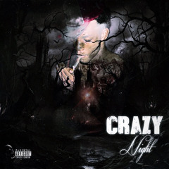 Crazy Night (Fresstyle)