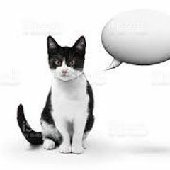 Sg Lily - Kat Stacks mp3 {nightcore}