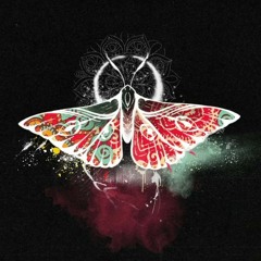 Janaga,  Tenca - Мотылёк