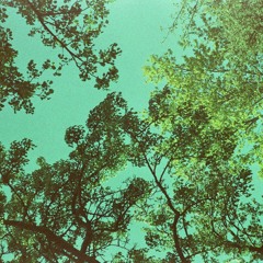 2021 - 01 - 29 Strings W Side A