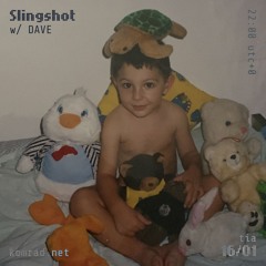 Slingshot 013 w/ DAVE