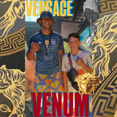 NO PROBLEM MIXTAPE -DJVERSACE_VENUM