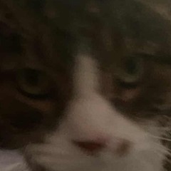 i can't (chill sebs)