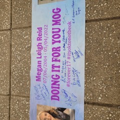 mdnz Skippys anthem remix 3 Avit edit.wav