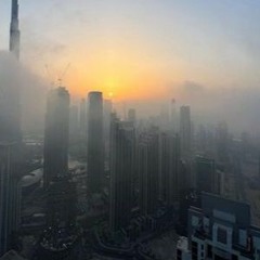 متحدہ عرب امارات کا موسم: دھند نے ابوظہبی، العین، دبئی، شارجہ، راس الخیمہ کو لپیٹ میں لے لیا